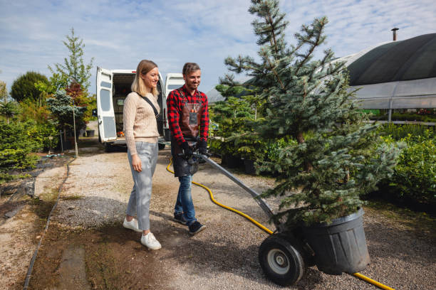 Best Local Tree Services  in Strum, WI